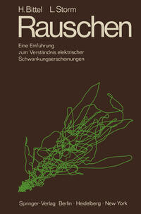Vorderes Coverbild Rauschen