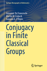 Vorderes Coverbild Conjugacy in Finite Classical Groups