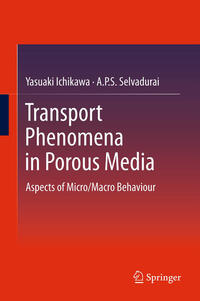 Vorderes Coverbild Transport Phenomena in Porous Media