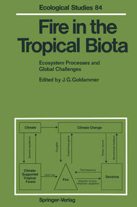 Vorderes Coverbild Fire in the Tropical Biota