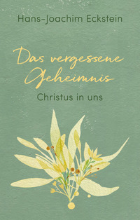 Vorderes Coverbild Das vergessene Geheimnis