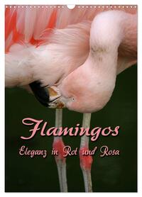Vorderes Coverbild Flamingos - Eleganz in Rot und Rosa (Wandkalender 2026 DIN A3 hoch), CALVENDO Monatskalender