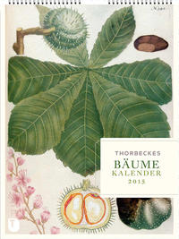 Vorderes Coverbild Thorbeckes Bäume-Kalender 2015