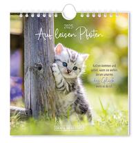 Vorderes Coverbild Postkartenkalender 2025 Auf leisen Pfoten