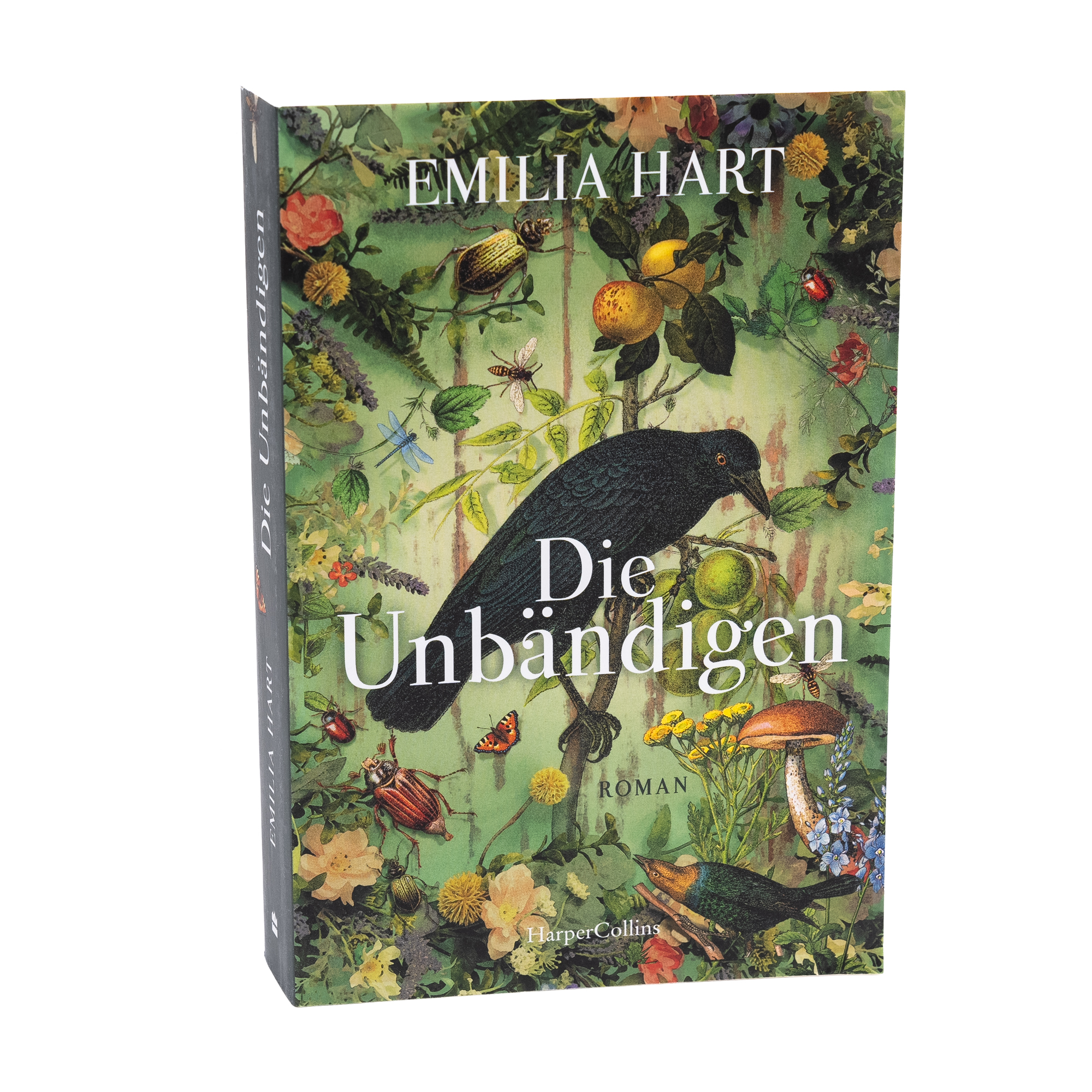 Beispielinhalt (Bild) Die Unbändigen