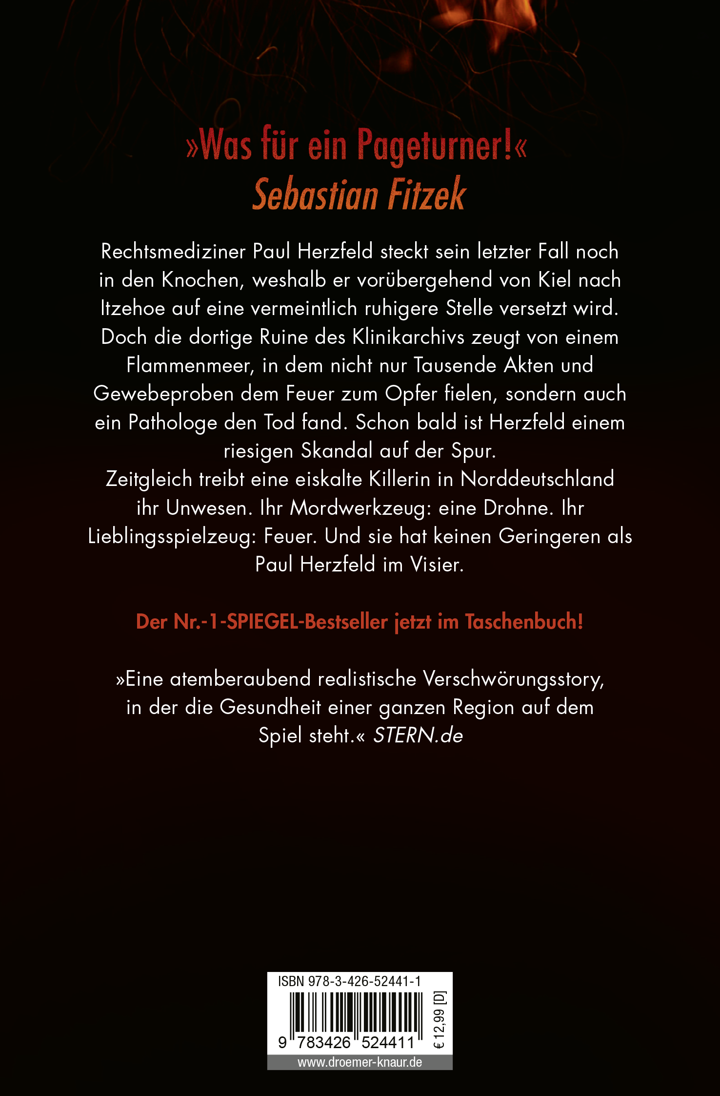 Rückseitencover Abgefackelt
