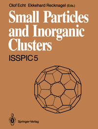 Vorderes Coverbild Small Particles and Inorganic Clusters