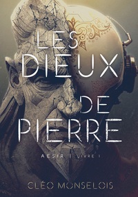 Vorderes Coverbild Les Dieux de Pierre
