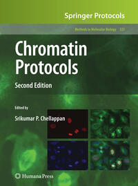 Vorderes Coverbild Chromatin Protocols