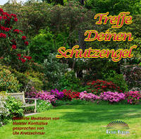 Vorderes Coverbild Treffe Deinen Schutzengel DL