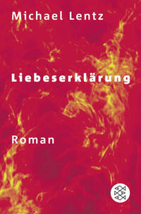 Vorderes Coverbild Liebeserklärung