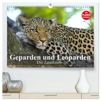 Vorderes Coverbild Die Lautlosen. Geparden und Leoparden (hochwertiger Premium Wandkalender 2025 DIN A2 quer), Kunstdruck in Hochglanz
