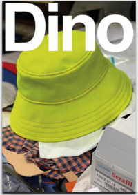 Vorderes Coverbild Dino Magazine