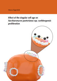 Vorderes Coverbild Effect of the singular cell age on Saccharomyces pastorianus ssp. carlsbergensis proliferation