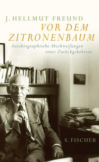 Vorderes Coverbild Vor dem Zitronenbaum