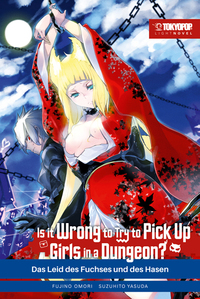 Vorderes Coverbild Is it wrong to try to pick up Girls in a Dungeon? Light Novel 07