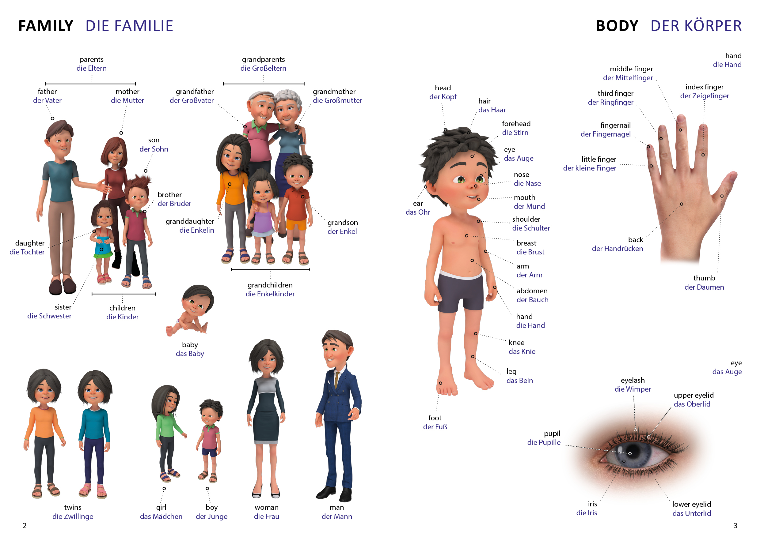 Beispielinhalt (Bild) Bildwörterbuch für Kinder und Eltern Englisch-Deutsch
