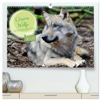 Vorderes Coverbild Unsere Wölfe - Ein Wildtier kehrt zurück (hochwertiger Premium Wandkalender 2025 DIN A2 quer), Kunstdruck in Hochglanz