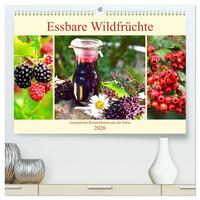 Vorderes Coverbild Essbare Wildfrüchte. Aromatische Köstlichkeiten aus der Natur (hochwertiger Premium Wandkalender 2026 DIN A2 quer), Kunstdruck in Hochglanz