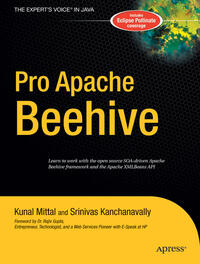 Vorderes Coverbild Pro Apache Beehive