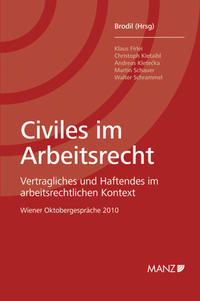 Vorderes Coverbild Civiles im Arbeitsrecht