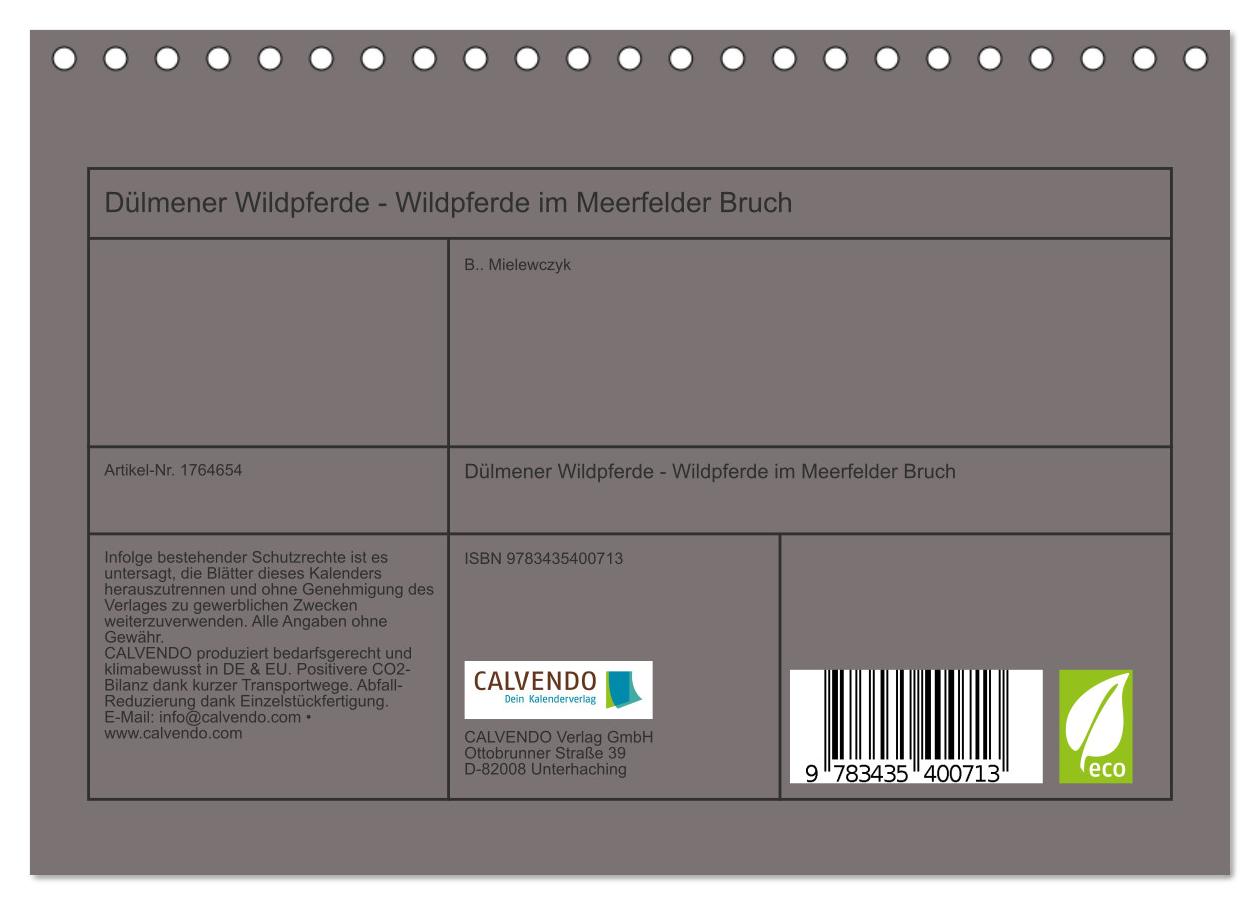 Beispielinhalt (Bild) Dülmener Wildpferde - Wildpferde im Meerfelder Bruch (Tischkalender 2025 DIN A5 quer), CALVENDO Monatskalender