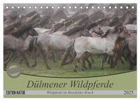 Vorderes Coverbild Dülmener Wildpferde - Wildpferde im Meerfelder Bruch (Tischkalender 2025 DIN A5 quer), CALVENDO Monatskalender