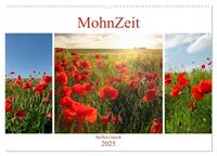 Vorderes Coverbild MohnZeit (Wandkalender 2025 DIN A2 quer), CALVENDO Monatskalender