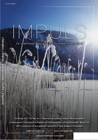 Vorderes Coverbild IMPULS Q1/17