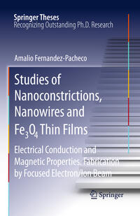 Vorderes Coverbild Studies of Nanoconstrictions, Nanowires and Fe3O4 Thin Films