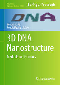 Vorderes Coverbild 3D DNA Nanostructure