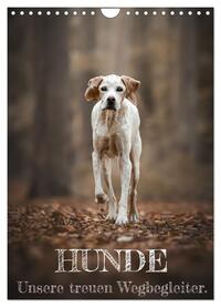 Vorderes Coverbild Hunde - Unsere treuen Wegbegleiter. (Wandkalender 2025 DIN A4 hoch), CALVENDO Monatskalender