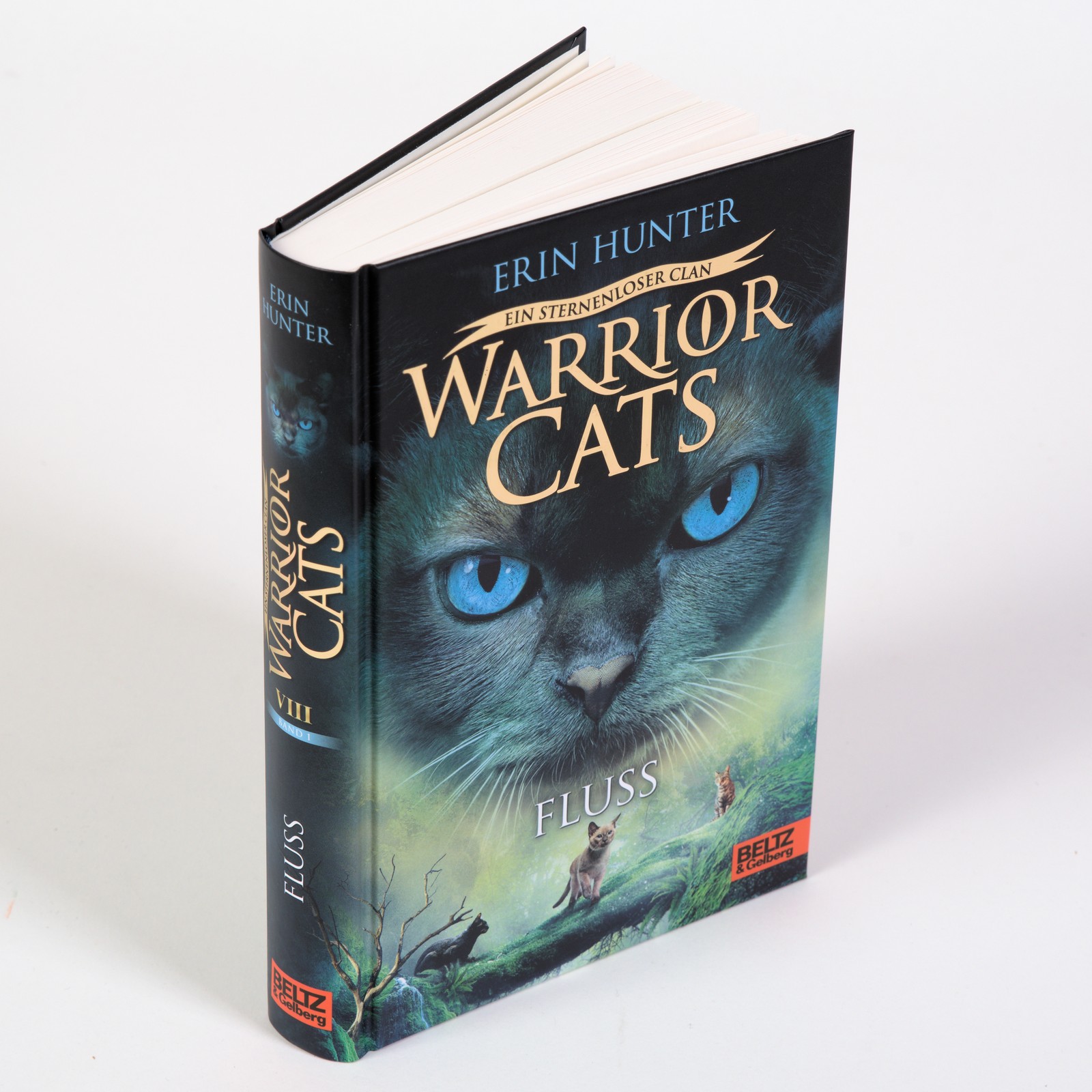 Anderes Coverbild Warrior Cats - Ein sternenloser Clan. Fluss
