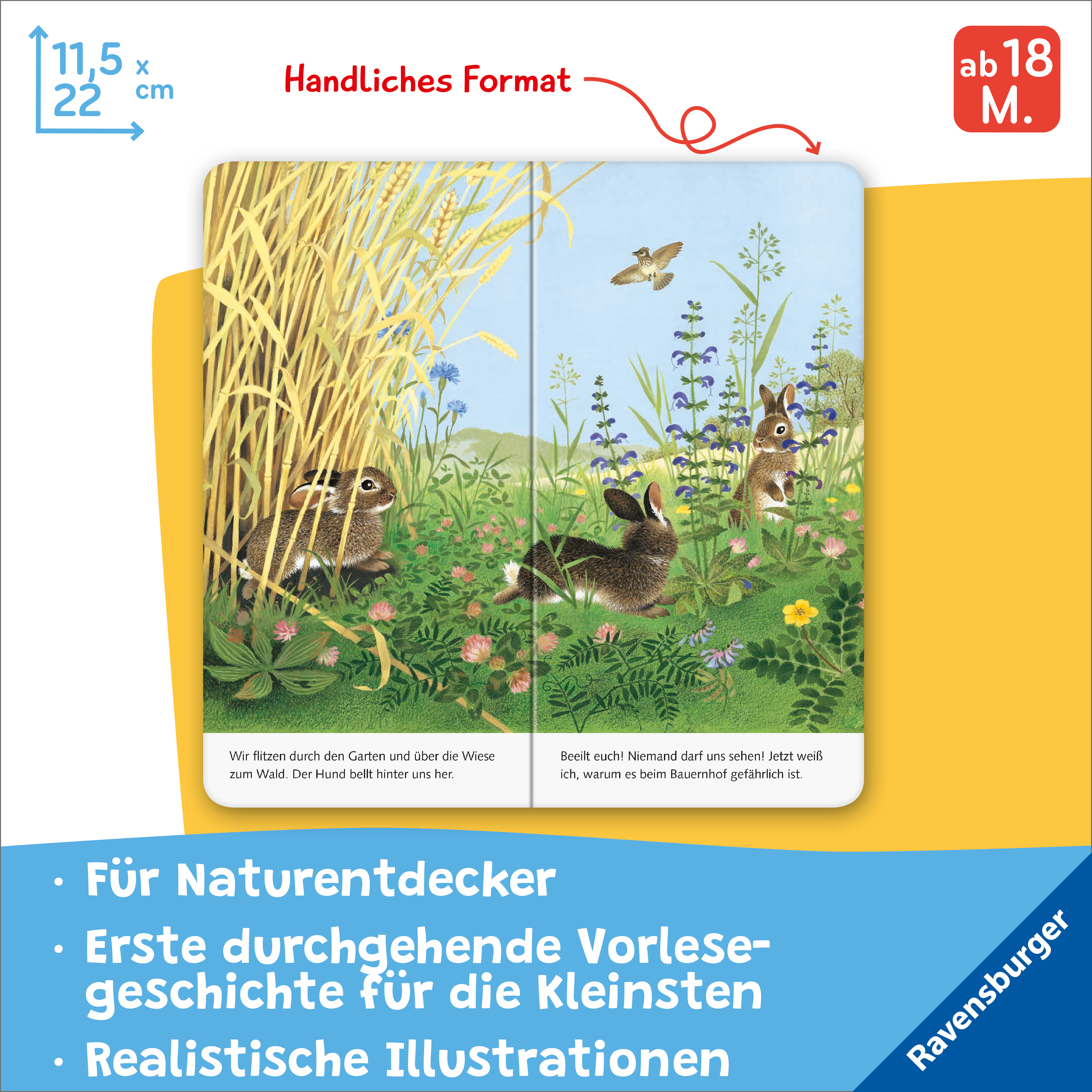 Beispielinhalt (Bild) Ich bin das kleine Kaninchen
