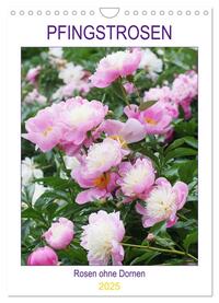 Vorderes Coverbild Pfingstrosen Rosen ohne Dornen (Wandkalender 2025 DIN A4 hoch), CALVENDO Monatskalender
