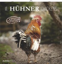 Vorderes Coverbild Hühner 2026 - Broschürenkalender 30x30 cm (30x60 geöffnet) - Kalender mit Platz für Notizen - Hühner - Bildkalender - Wandkalender - Hühnerkalender