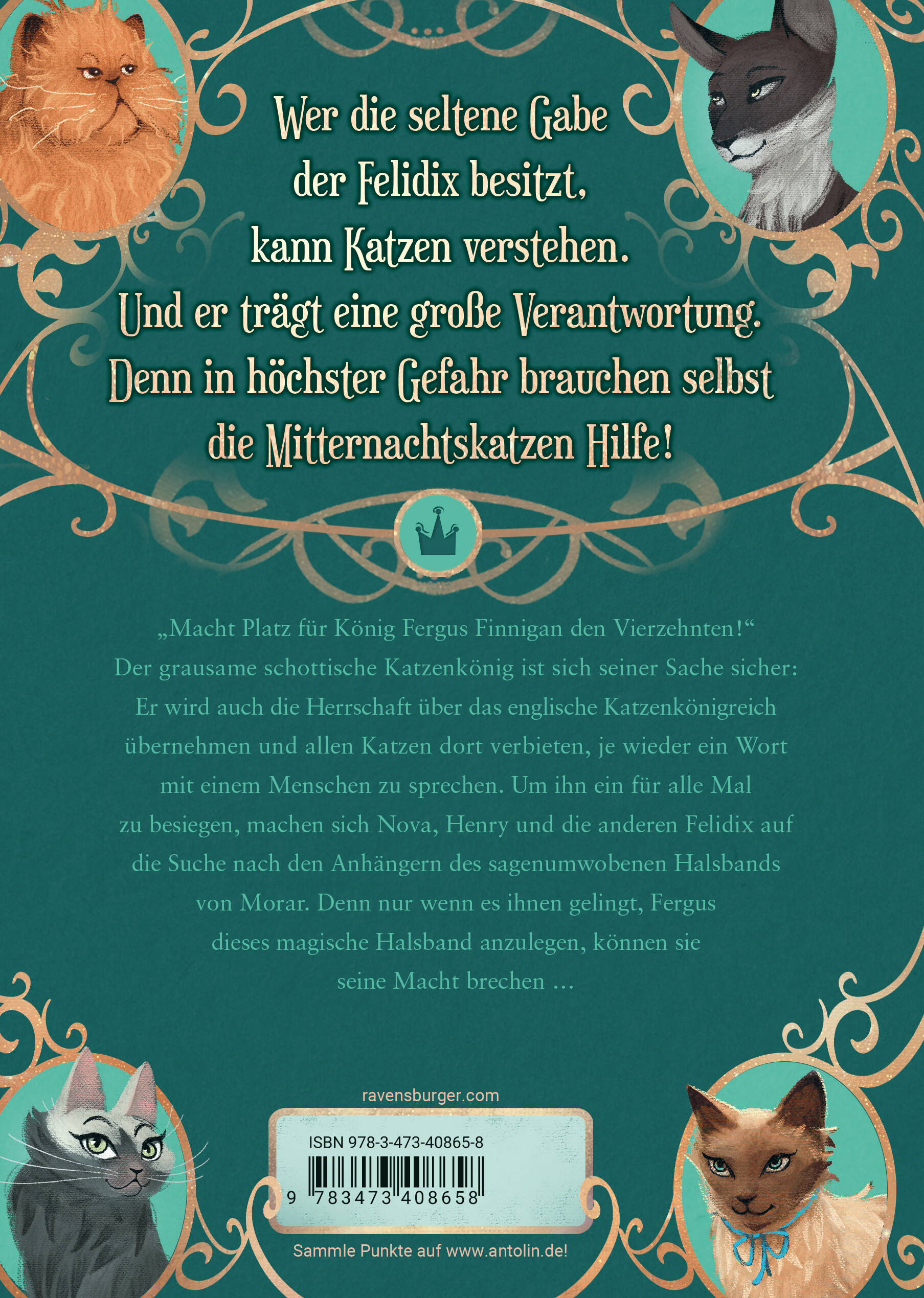 Rückseitencover Mitternachtskatzen, Band 3 - Der König der Federträger