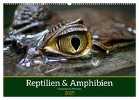 Vorderes Coverbild Reptilien & Amphibien Portraits (Wandkalender 2025 DIN A2 quer), CALVENDO Monatskalender