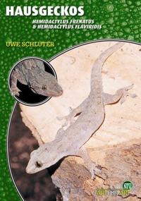 Vorderes Coverbild Hausgeckos