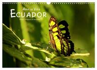 Vorderes Coverbild Ama la Vida Ecuador (Wandkalender 2025 DIN A3 quer), CALVENDO Monatskalender