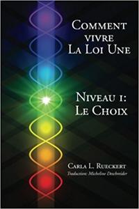 Vorderes Coverbild Comment vivre la Loi Une Niveau I: Le Choix