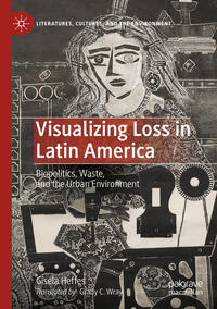 Vorderes Coverbild Visualizing Loss in Latin America