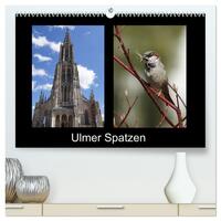 Vorderes Coverbild Ulmer Spatzen (hochwertiger Premium Wandkalender 2025 DIN A2 quer), Kunstdruck in Hochglanz