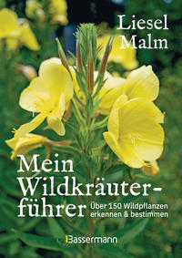 Vorderes Coverbild Mein Wildkräuterführer. Über 150 Wildpflanzen sammeln, erkennen & bestimmen.