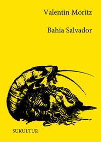 Vorderes Coverbild Bahía Salvador