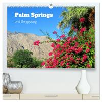 Vorderes Coverbild Palm Springs und Umgebung (hochwertiger Premium Wandkalender 2025 DIN A2 quer), Kunstdruck in Hochglanz
