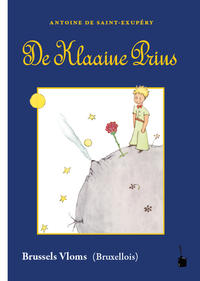 Vorderes Coverbild De Klaaine Prins