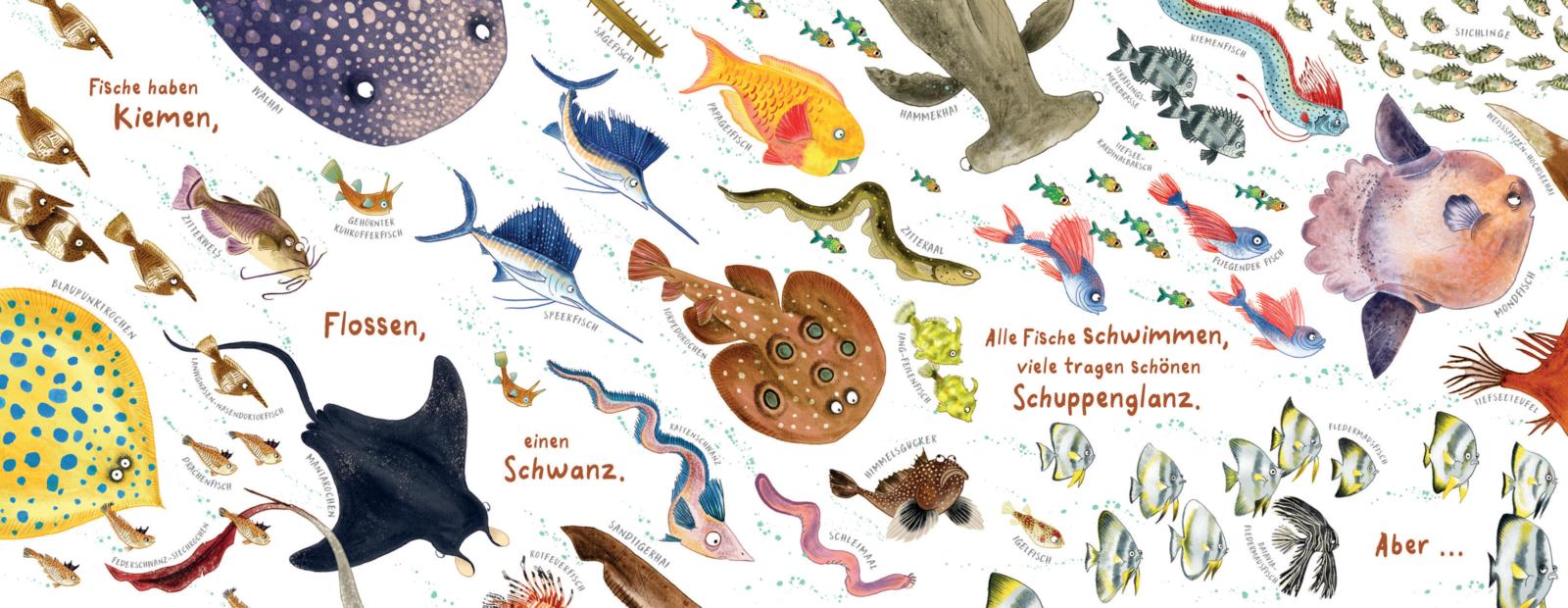 Beispielinhalt (Bild) Ausgeflippte Fische