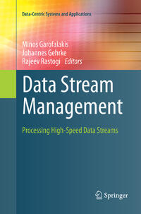 Vorderes Coverbild Data Stream Management