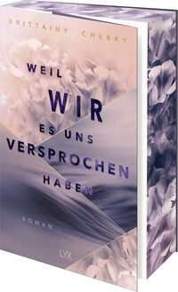 Vorderes Coverbild Weil wir es uns versprochen haben